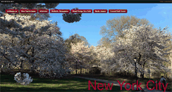 Desktop Screenshot of nycnyusa.net